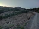 Coll de les Vinyes